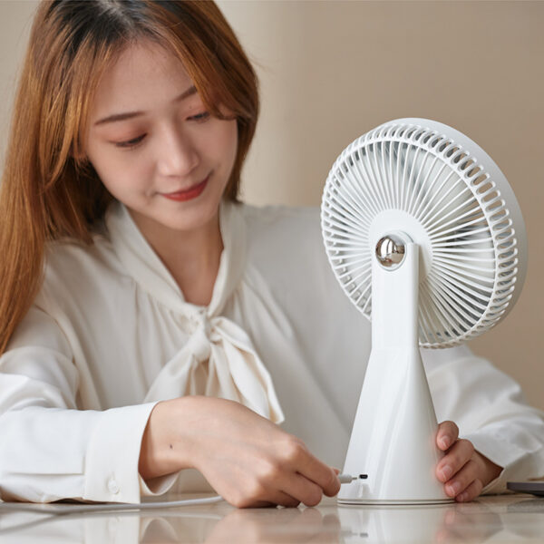 desktop fan